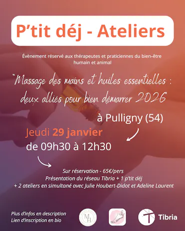 visuel actu 29 janvier réseau tibria