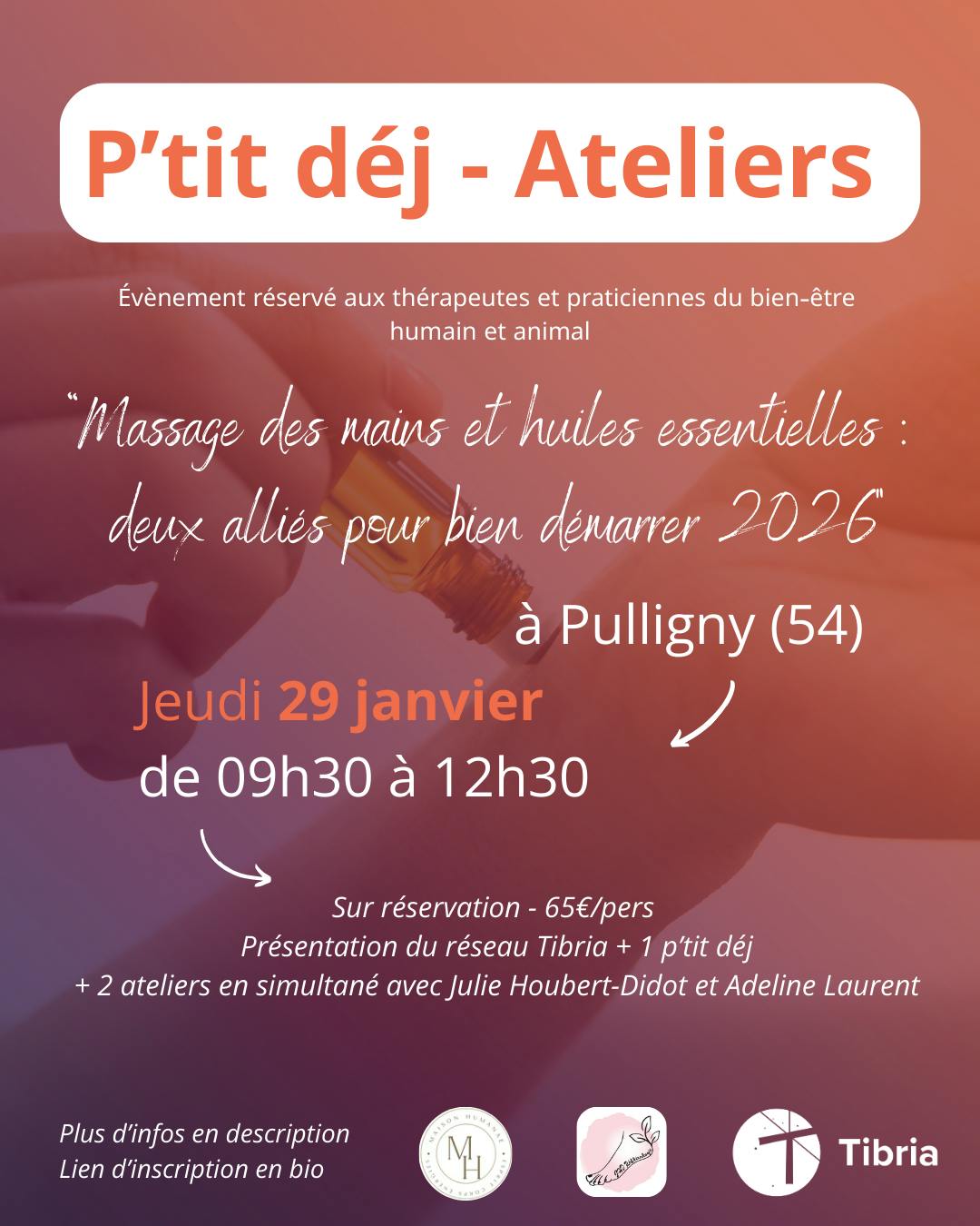 visuel actu 29 janvier réseau tibria