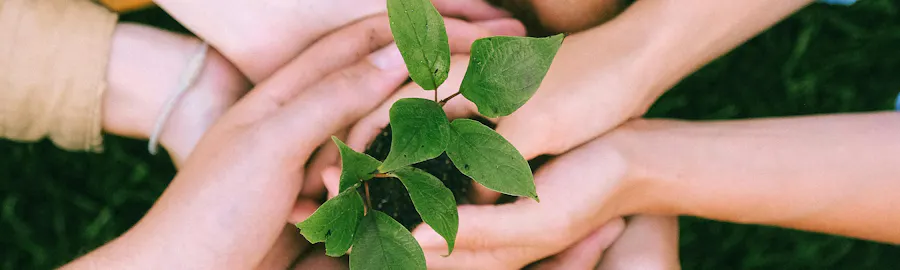 mains réunis et jeunes pousses