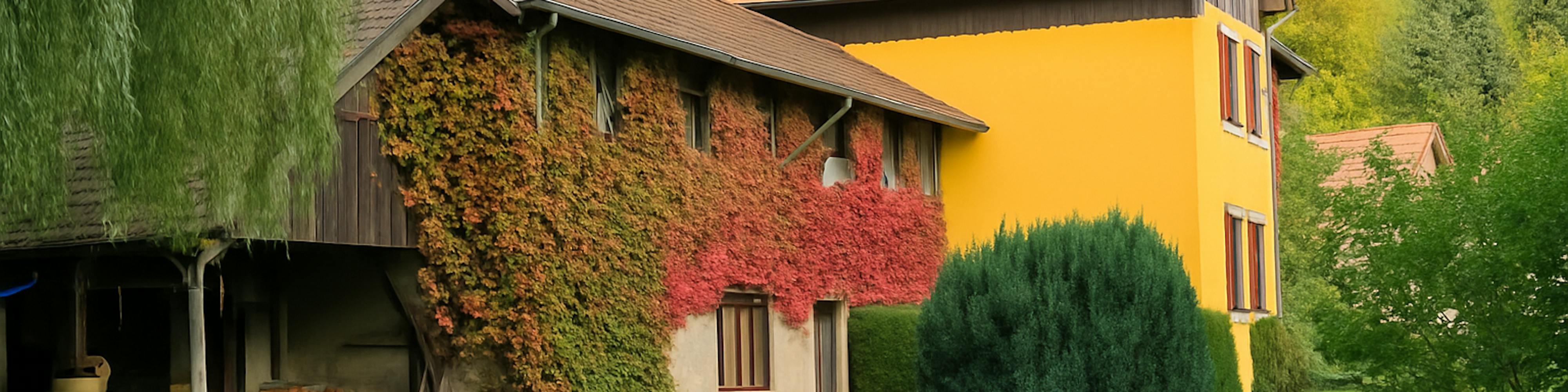 gîte val d'argent alsace