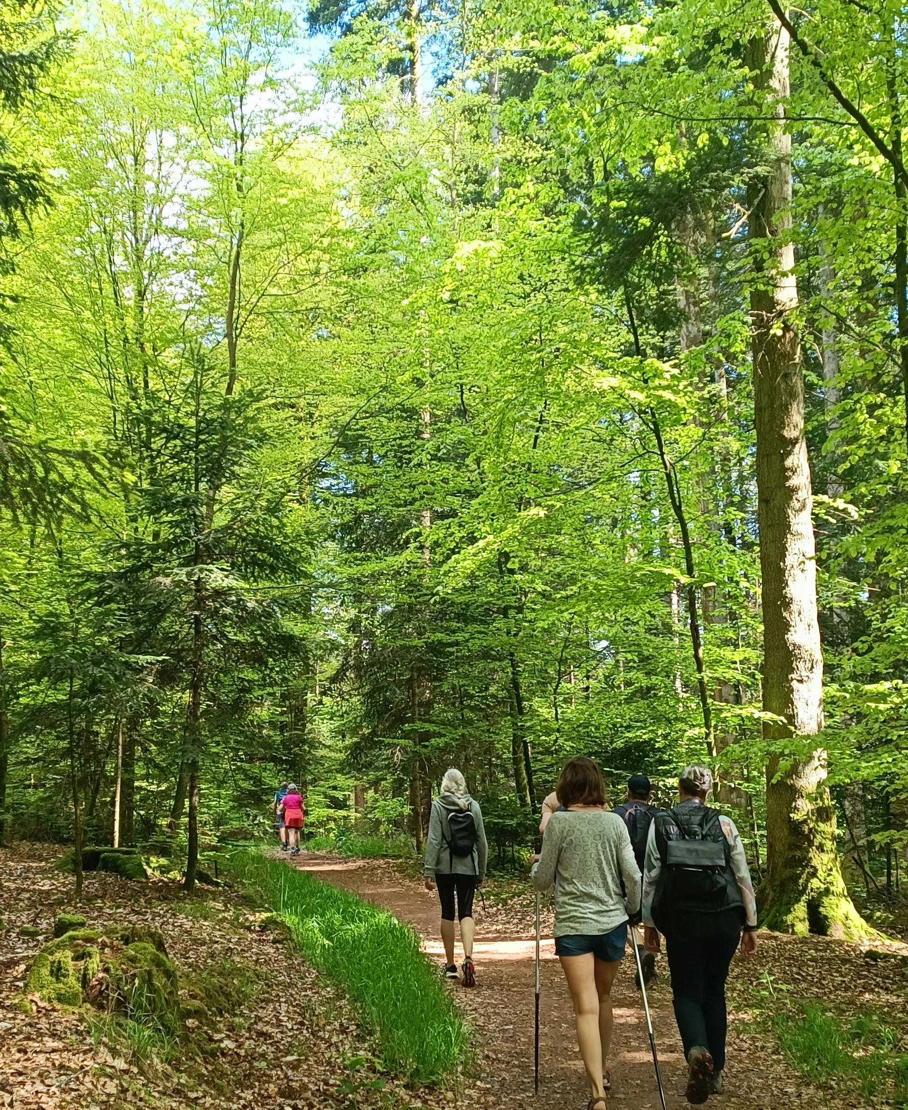 groupe qui marche en foret