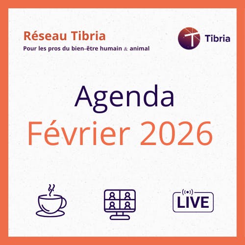 visuel prog fevrier réseau tibria