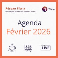 visuel programme events février 2026 réseau tibria