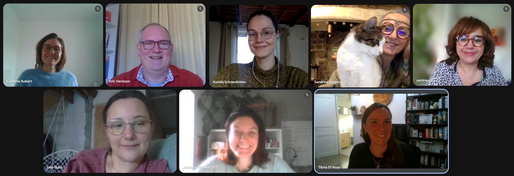 visio janvier tibria 2026