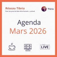 visuel programme events mars 2026 réseau tibria