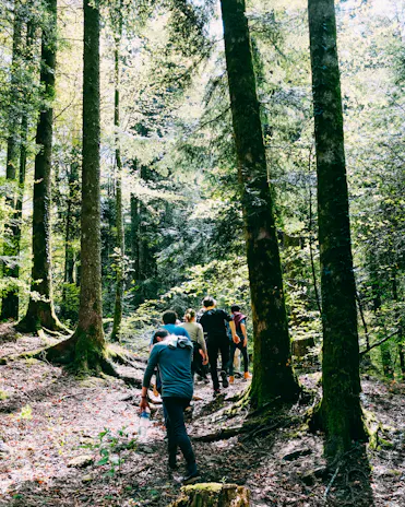 groupe randonnée foret