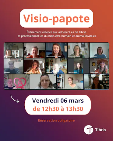 visio papote 06.03.2026 visuel tibria