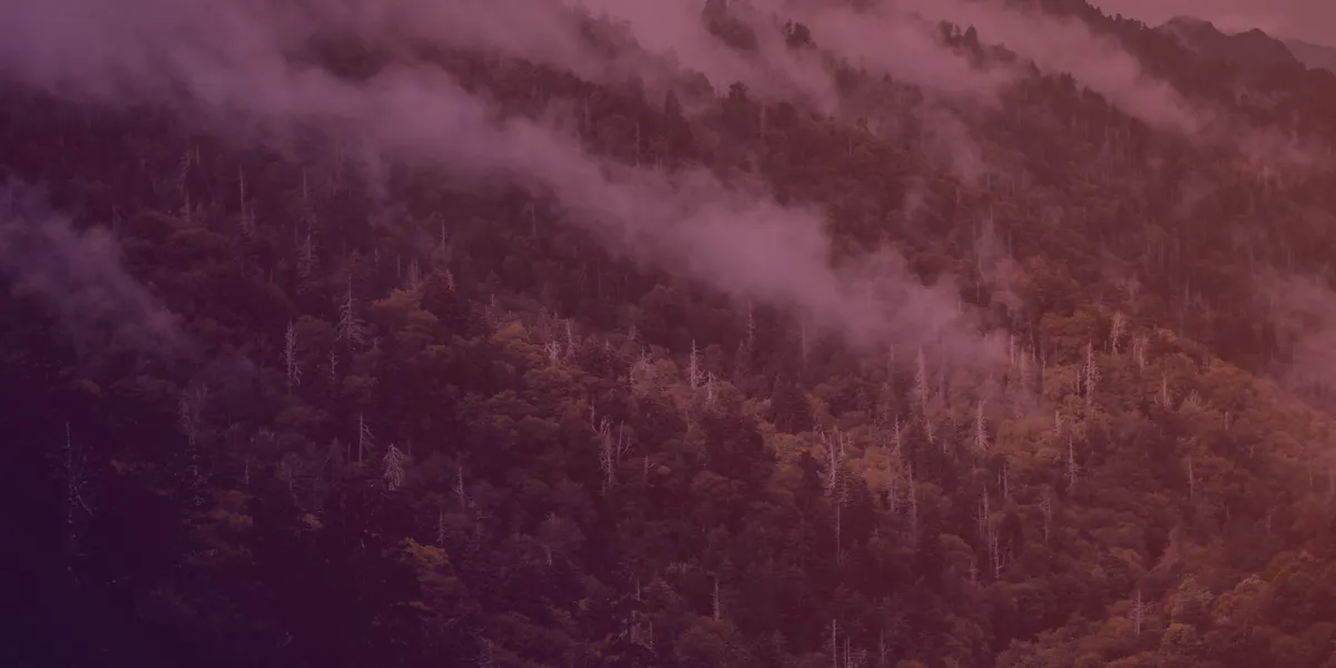 trouver son professionnel vérifié sur tibria france