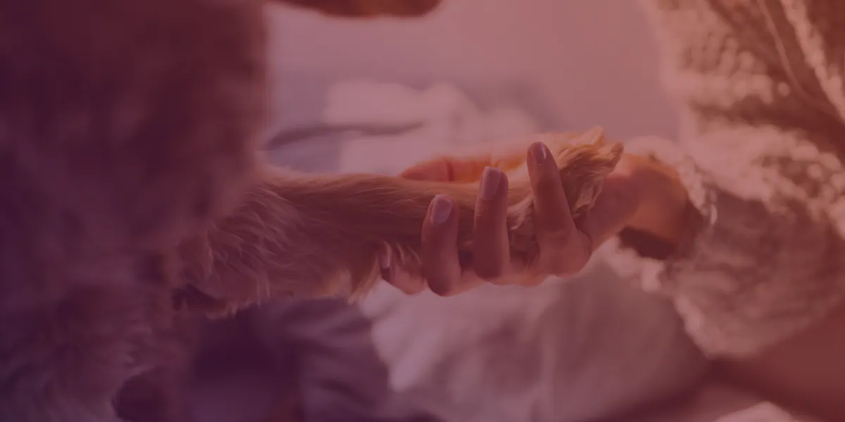 tibria accompagne aussi les animaux france