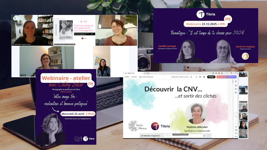 webinaire atelier formation réseau tibria france