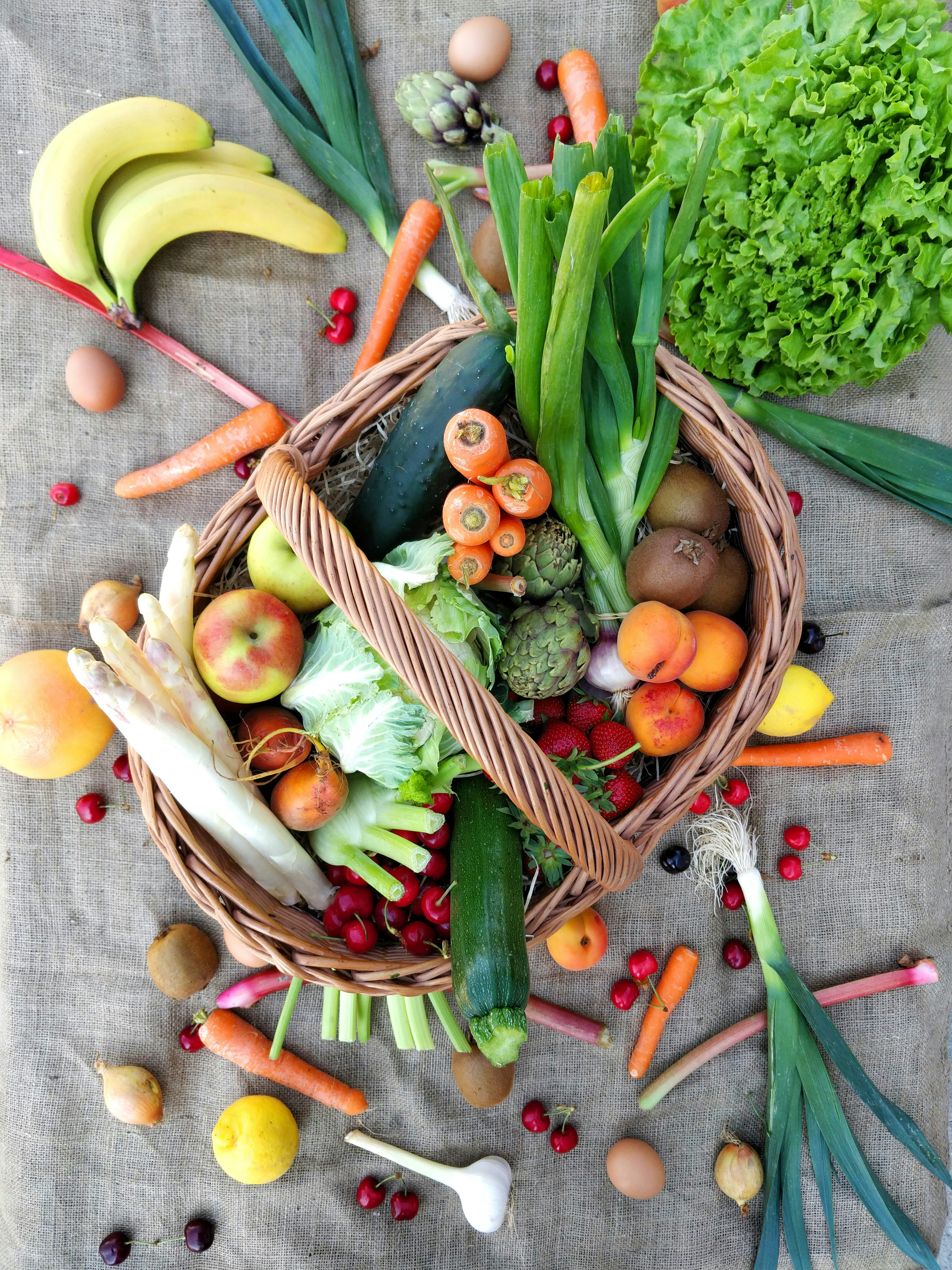 Alimentation nutrition digestion tibria espace ressource nantes
