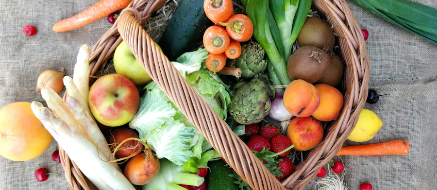 Alimentation nutrition digestion tibria espace ressource nantes