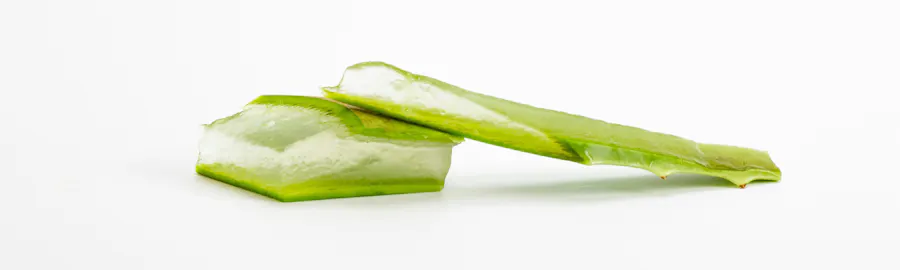 bienfaits aloe vera lyon