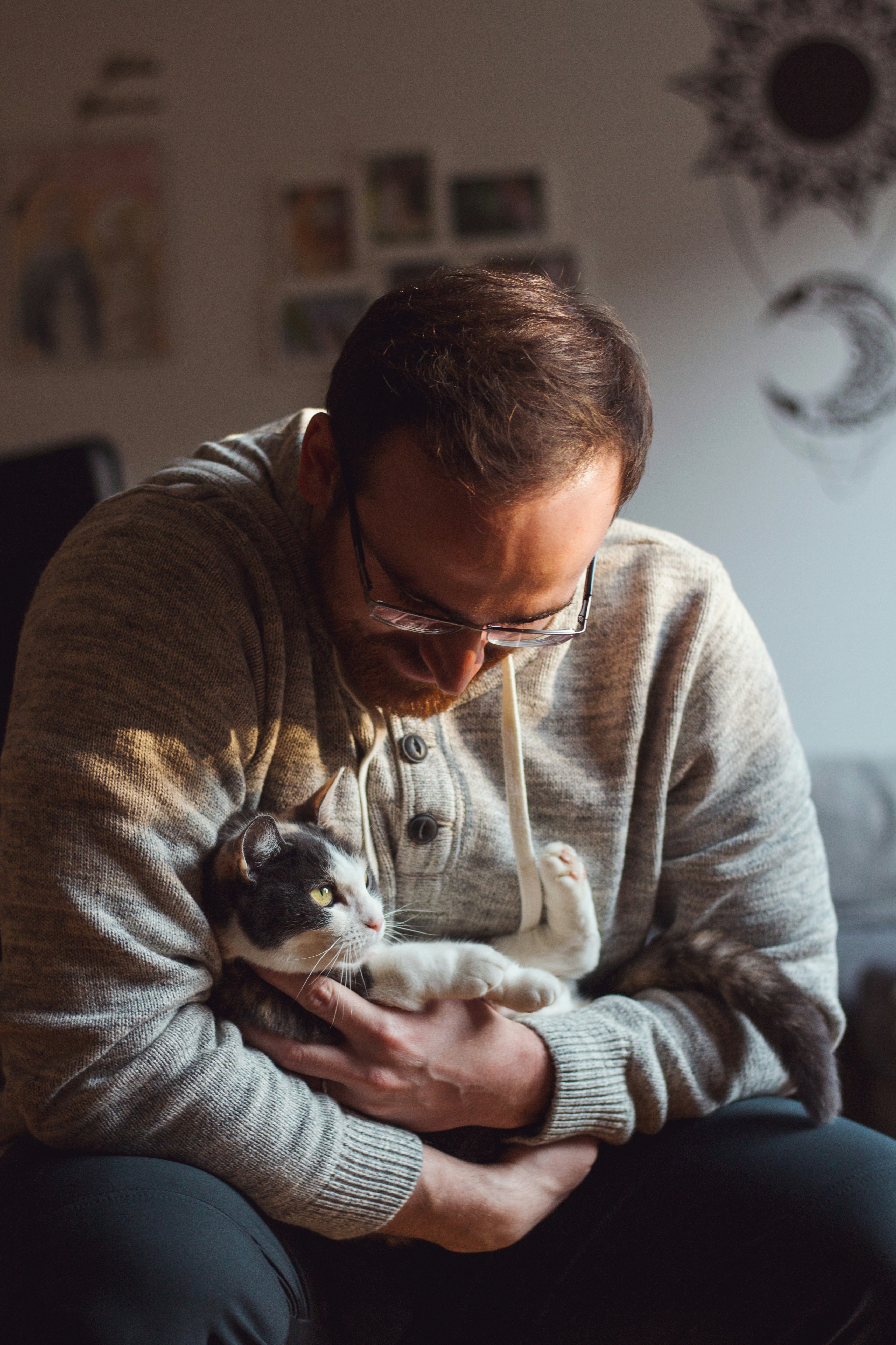 lien humain chat lap nancy