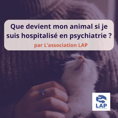 Que devient mon animal si je suis hospitalisé en psychiatrie  association lap nancy