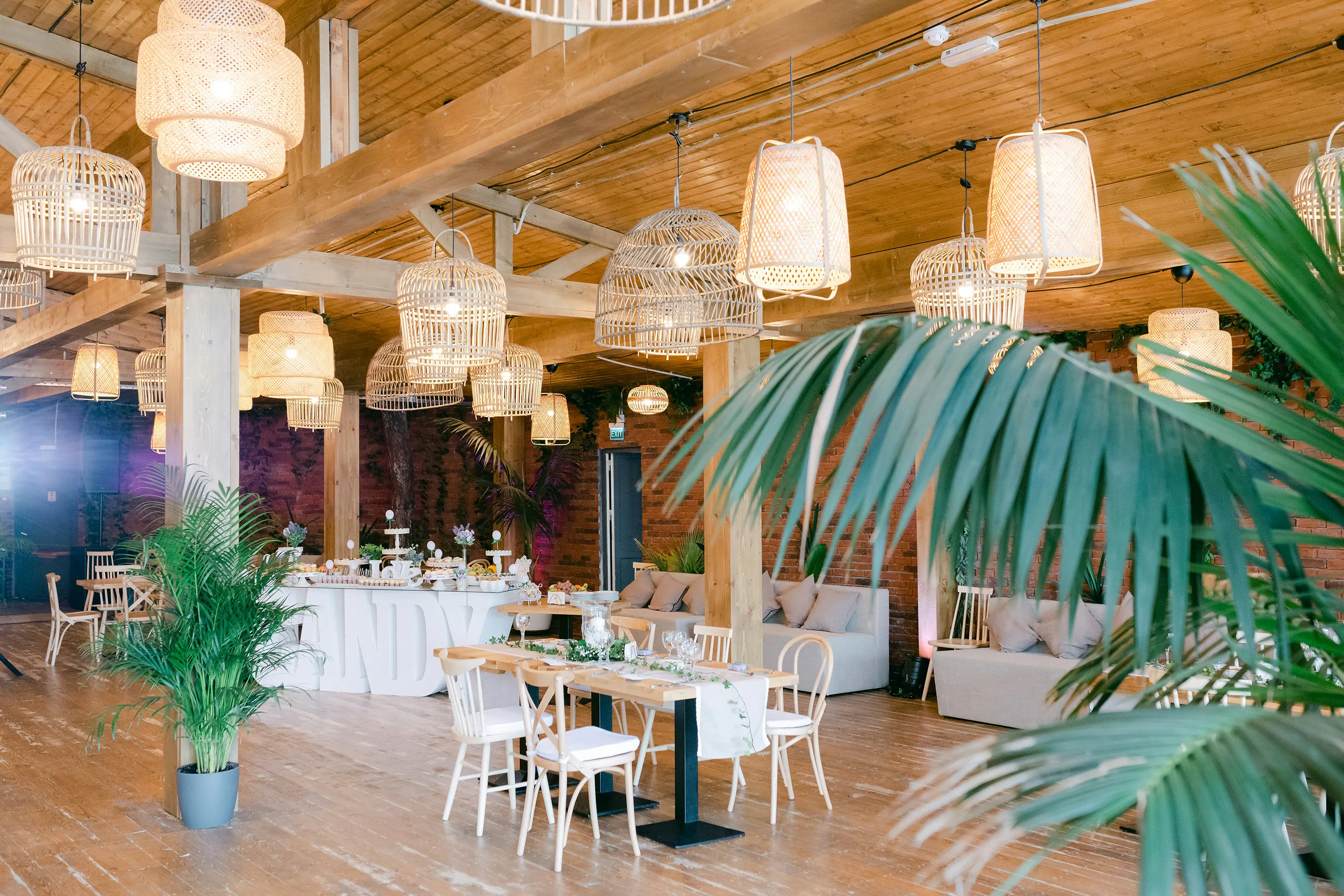 light venue with green indoor plant