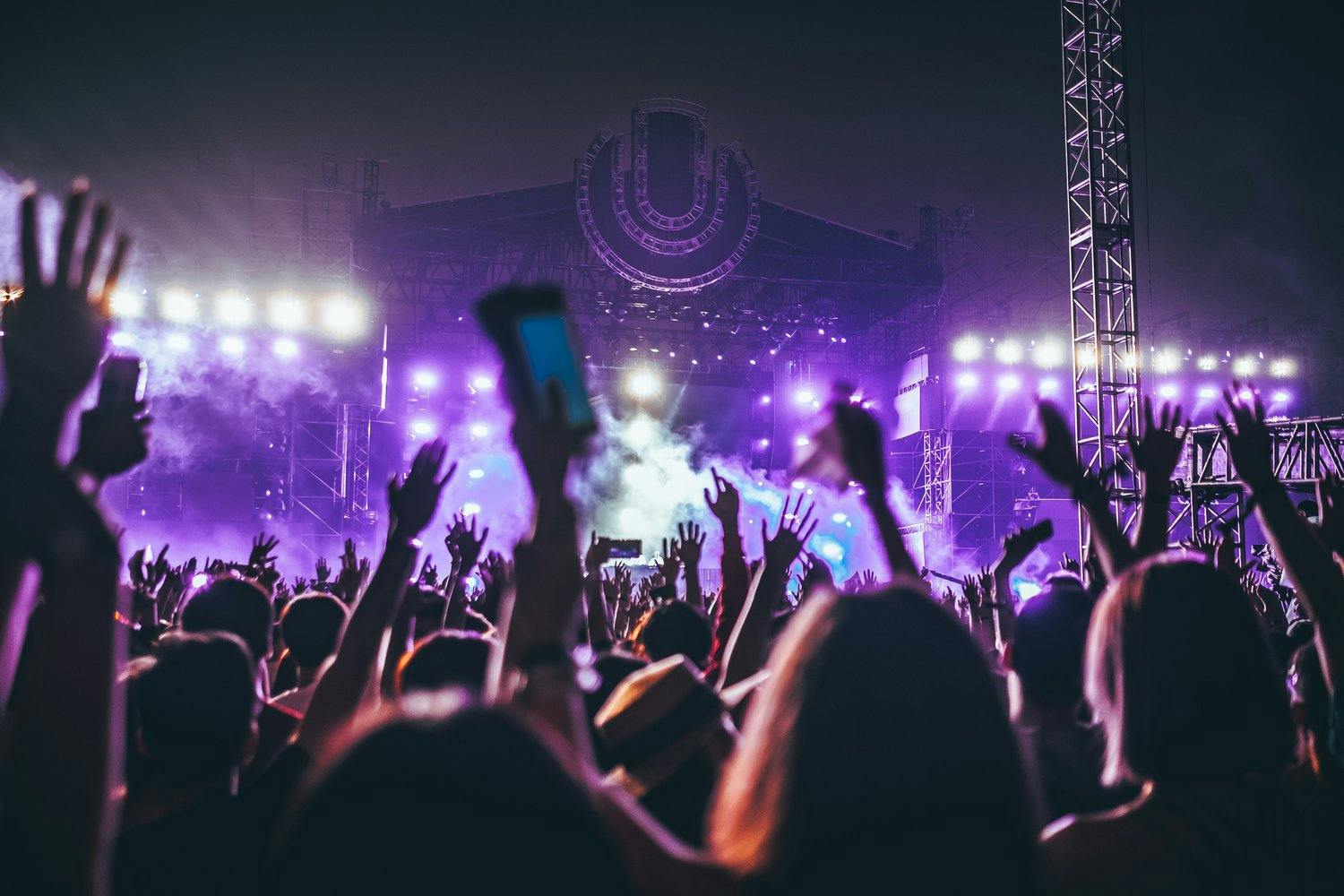 a crowd of people at a concert