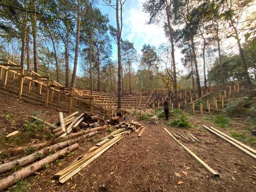 a wooden stairs in a forest