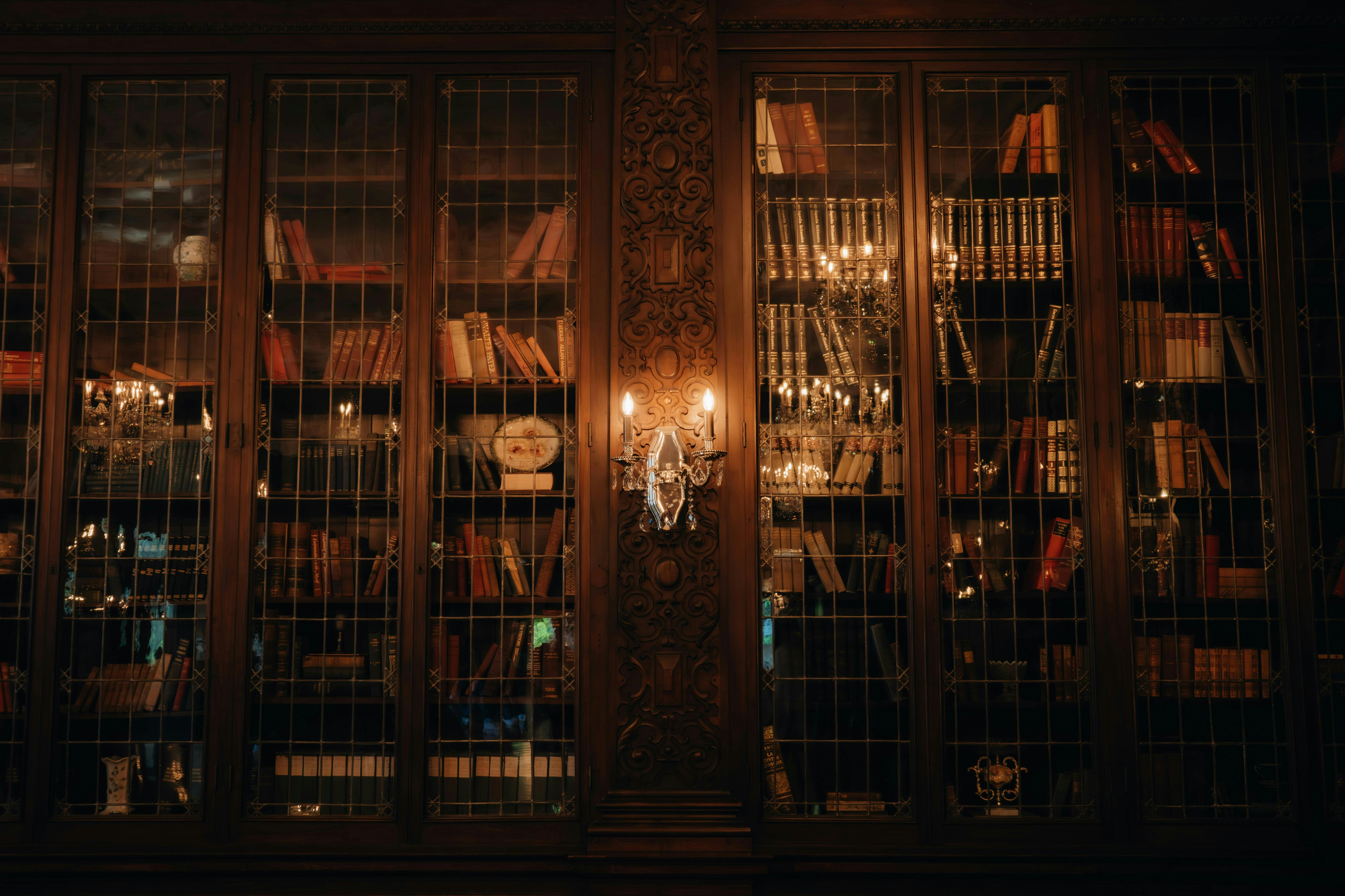 A dimly lit library in the dark academia aeshetic