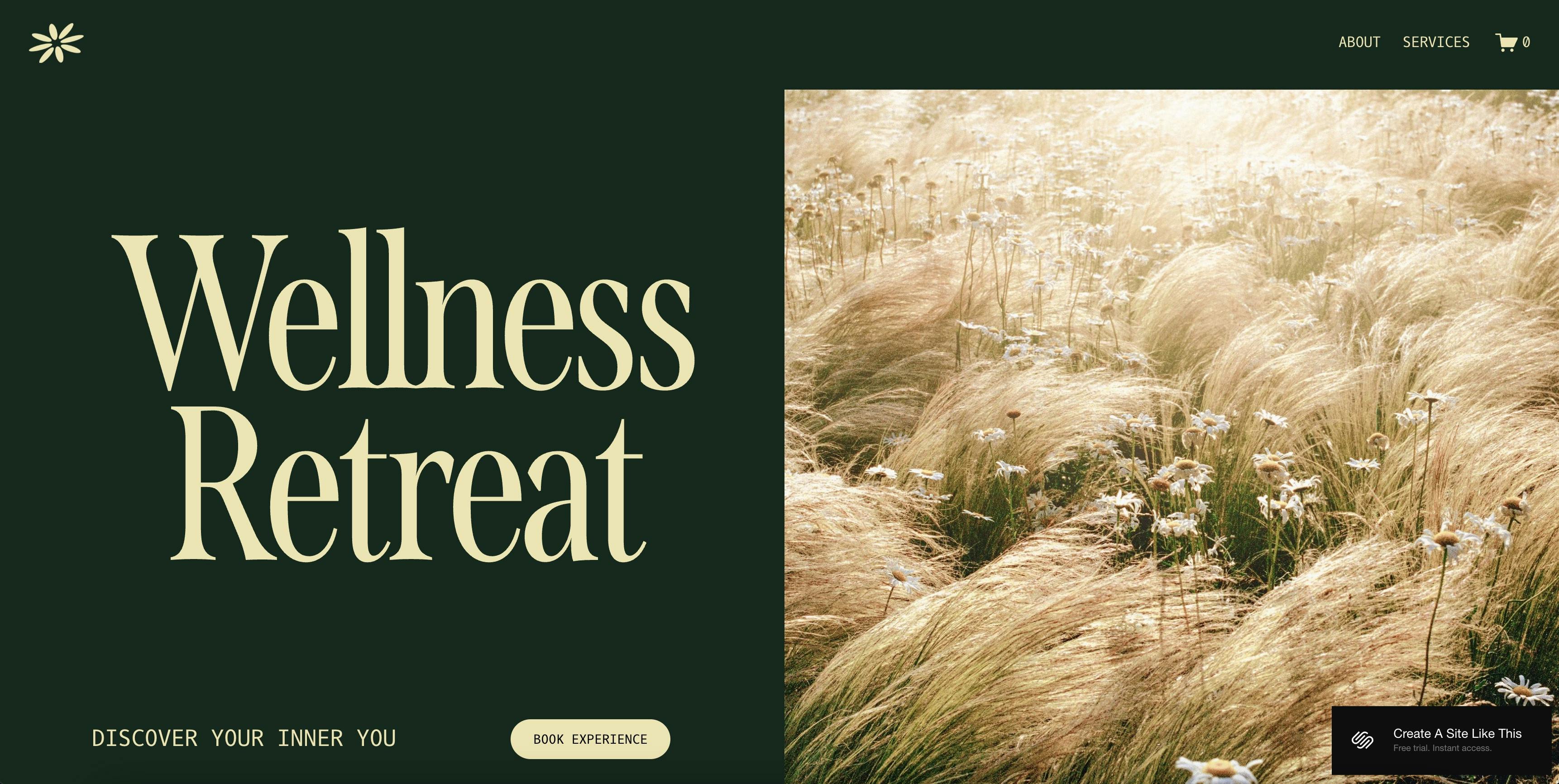 Aurora Squarespace Template