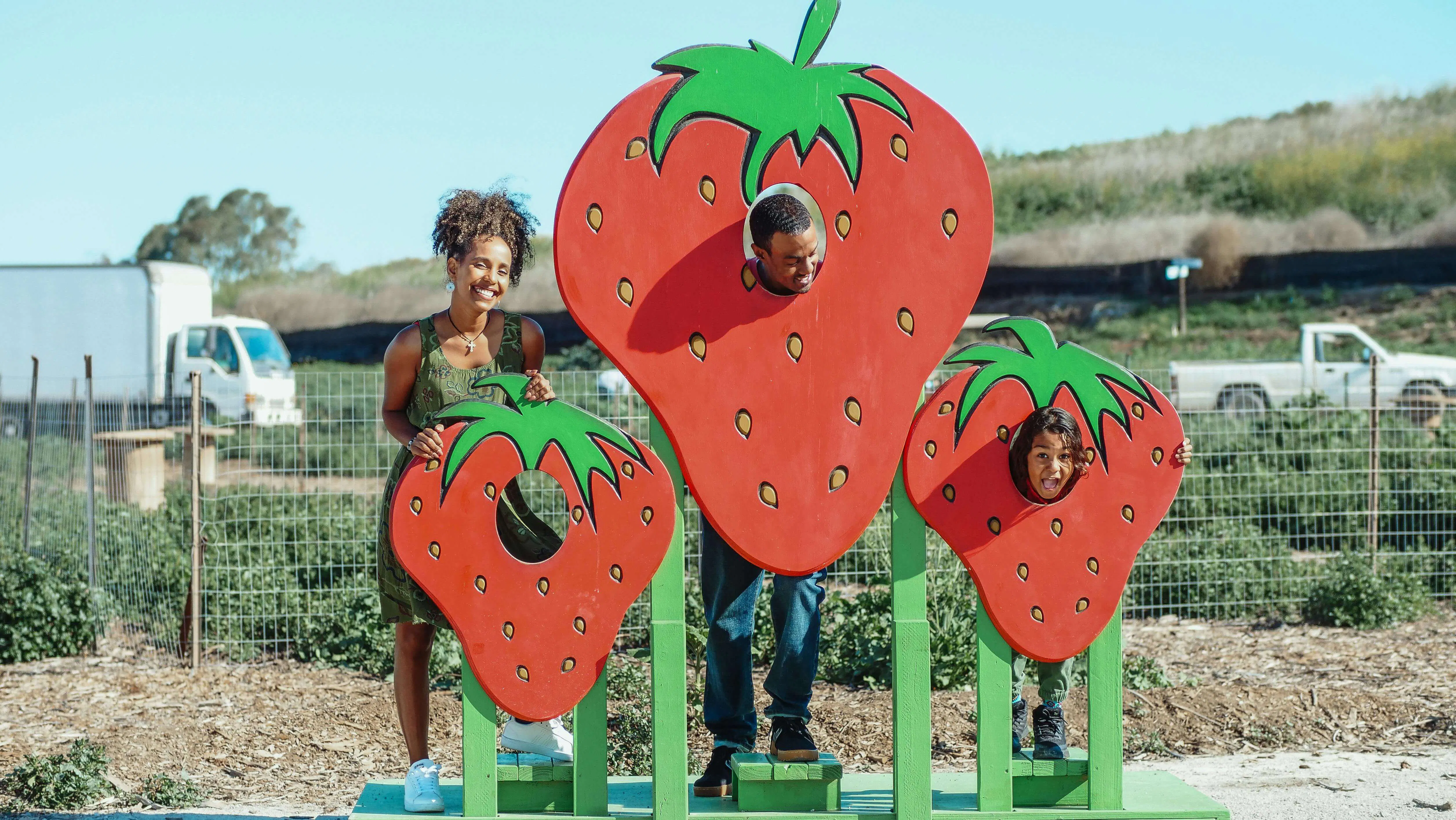 Family at strawberry picking event
