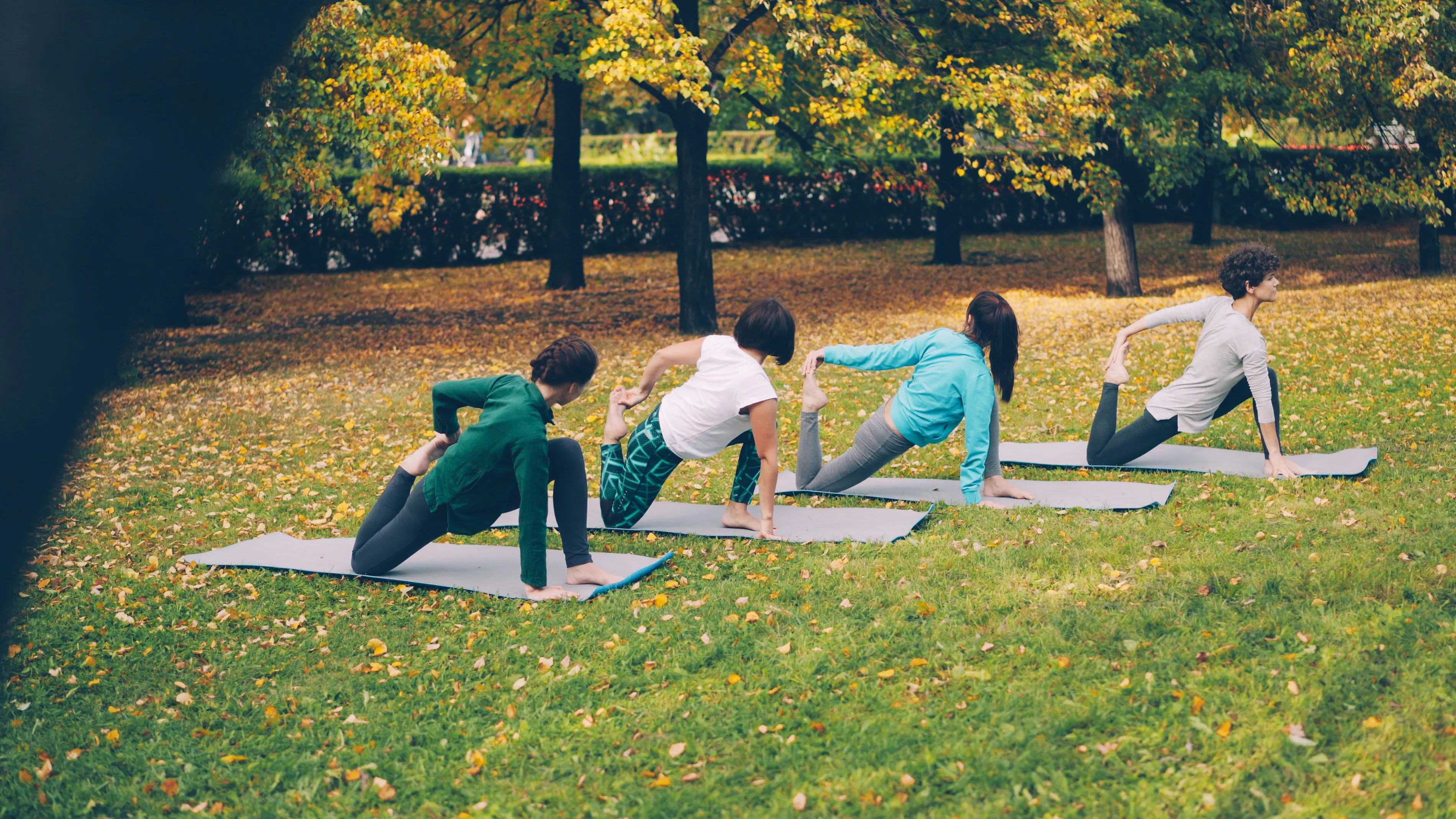 people doing yoga in the park