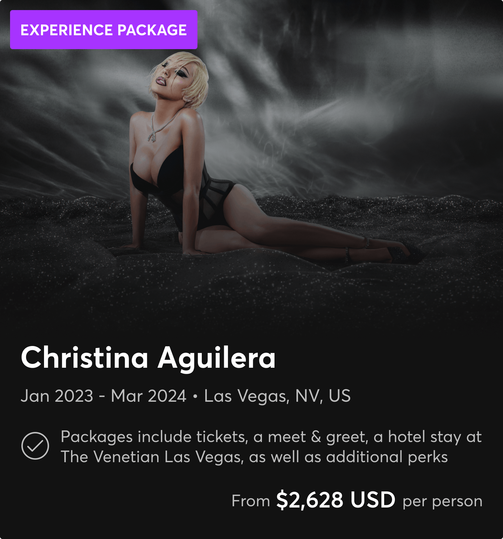 Christina Aguilera Experience Packages