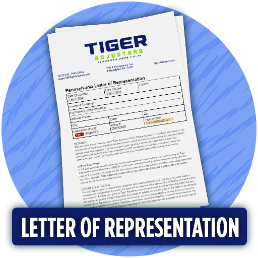 ICON: Letter of Representation