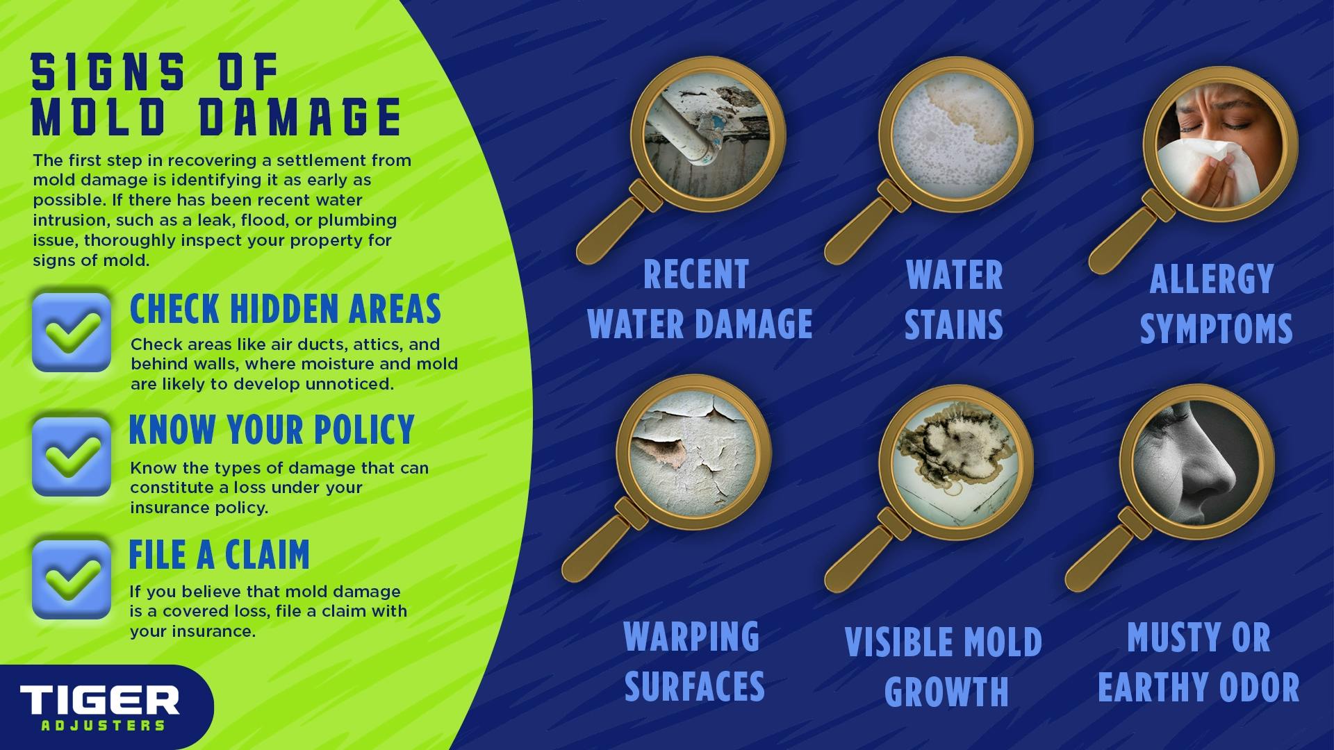 INFOGRAPHIC: Mold Damage