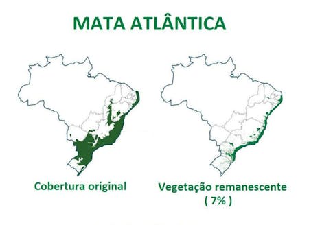 Map of the Mata Atlântica