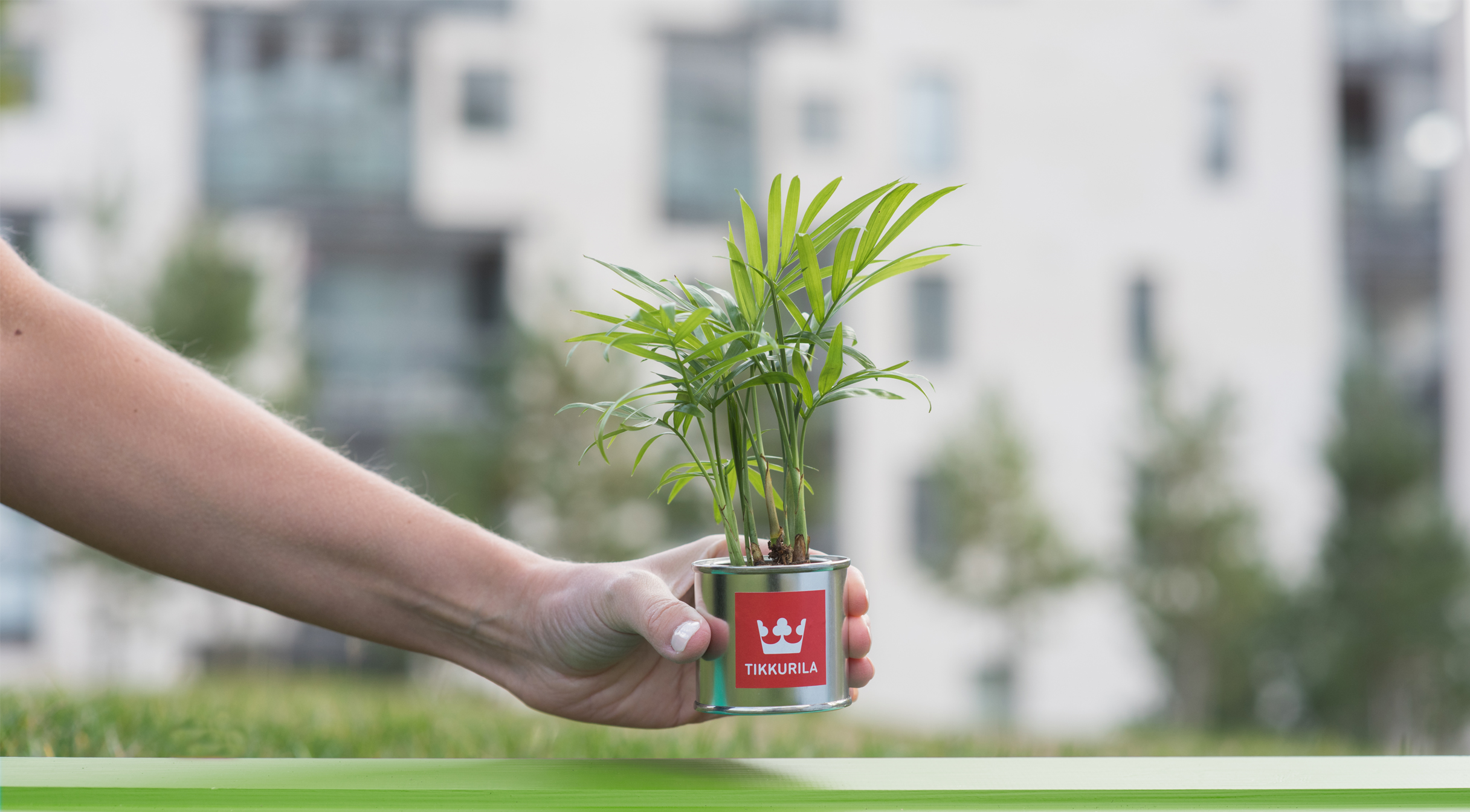 Tikkurila plant pot in hand - hero banner image