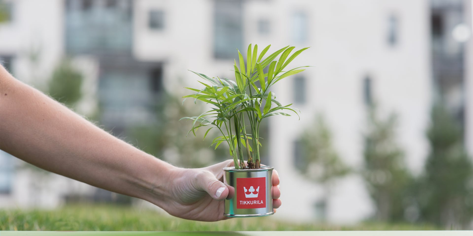 Tikkurila plant pot in hand - hero banner image