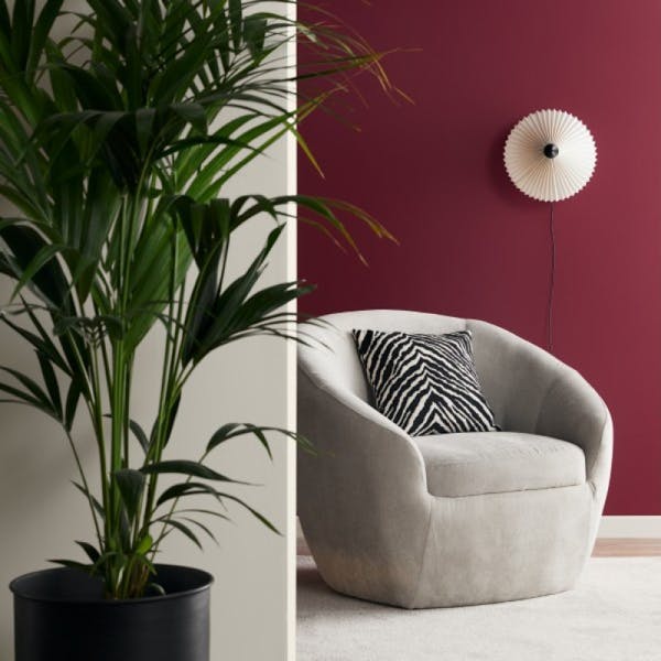 large plant and grey armchair against red and white wall