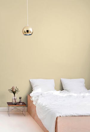 wall painted with Spot On