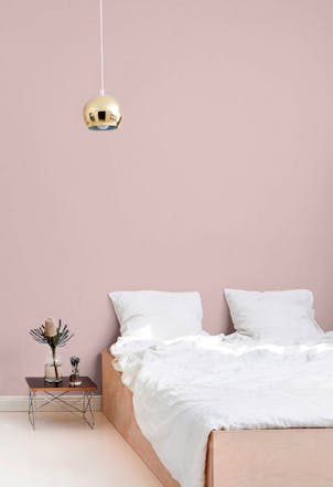 Wall painted with TVT H420