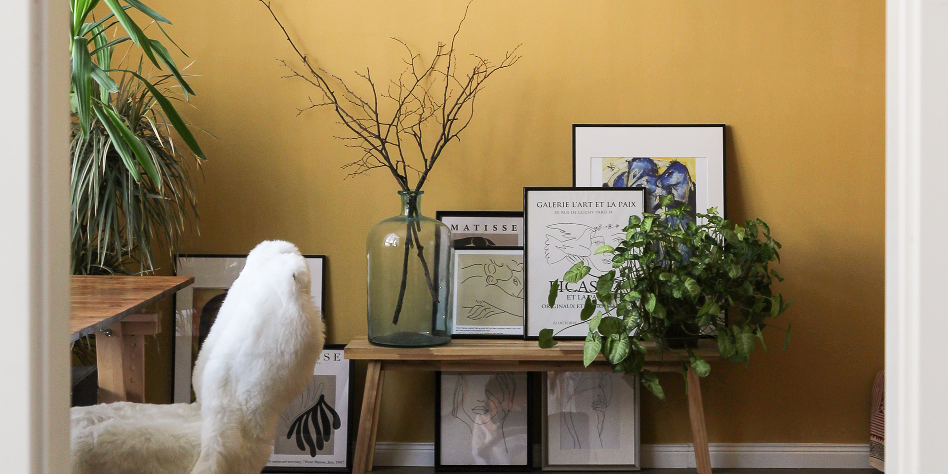chair, pictures and plants in front of yellow wall hero image