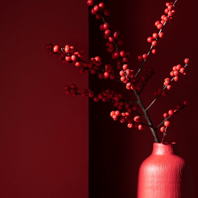 Our 5 Favourite Jewel Paint Colours