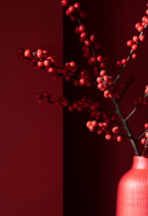 wall painted in a ruby red paint