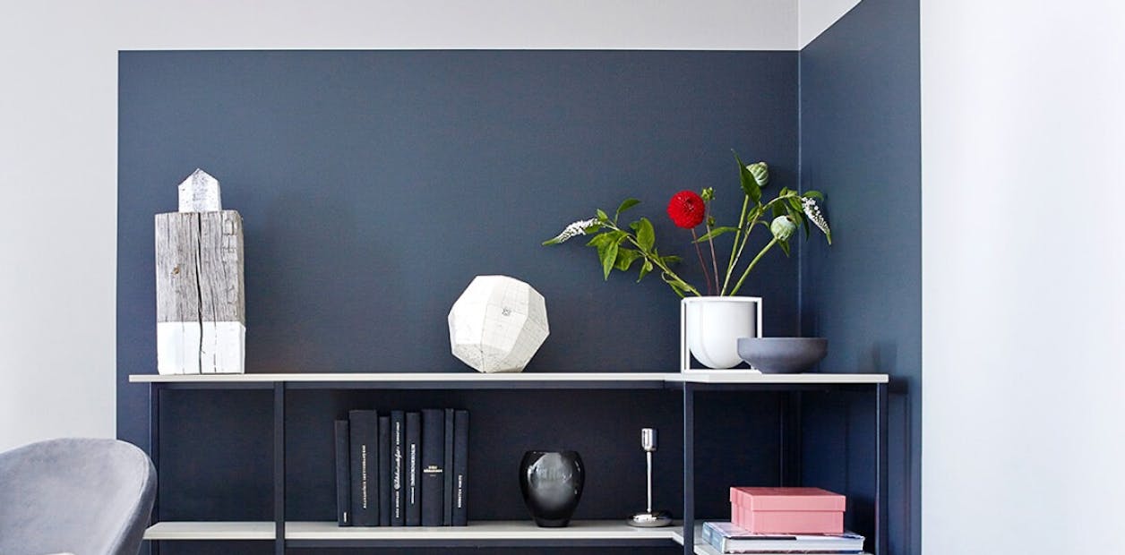 blue feature wall behind shelving