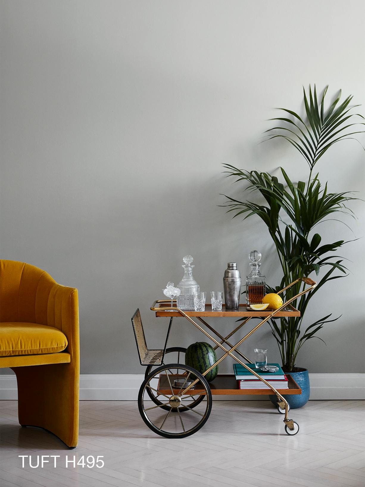 Yellow Chair, Drinks Tray and Large Plant Against Light Grey Wall