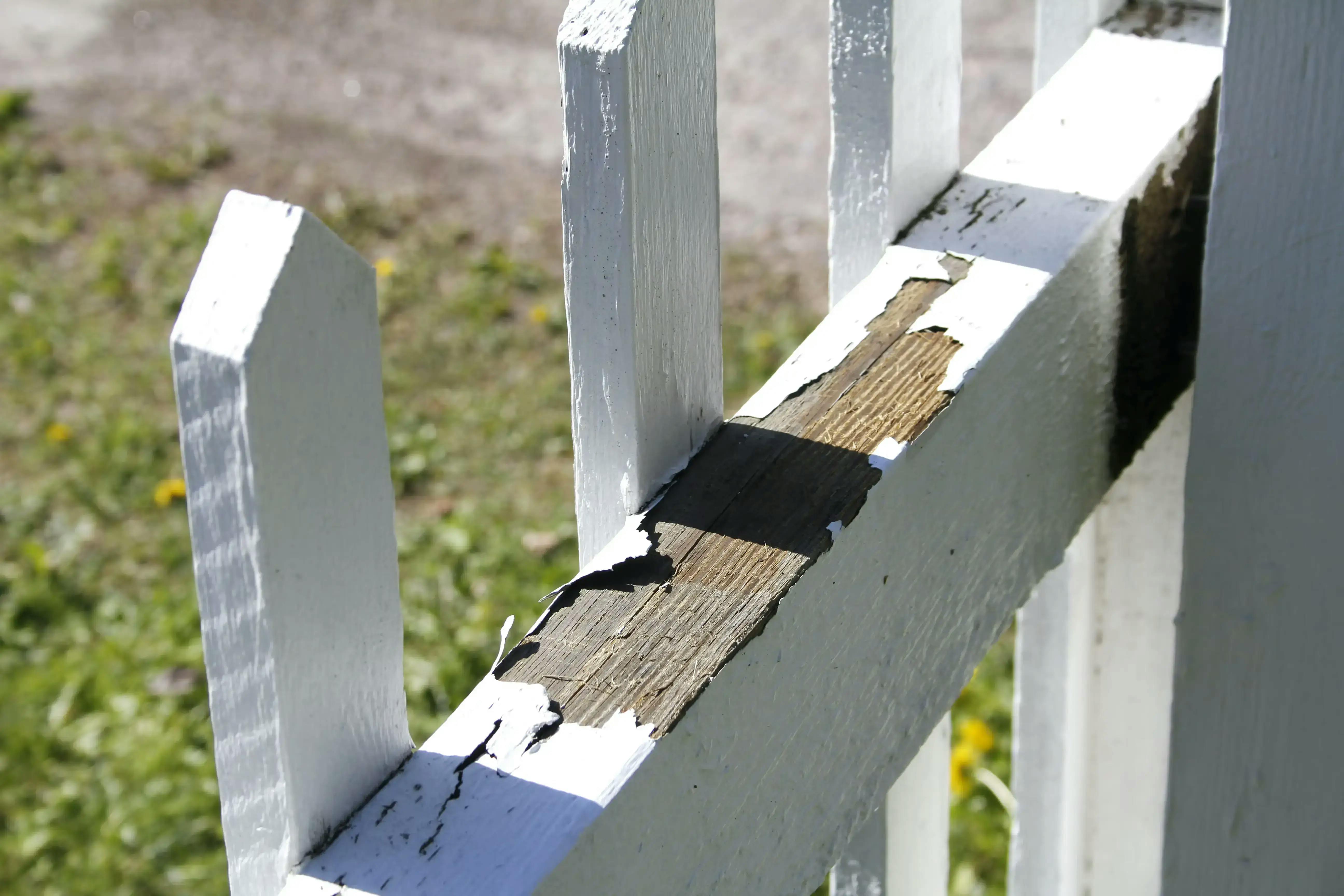 Fence with chipped paint