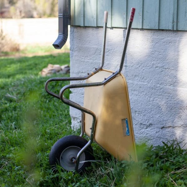 Old wheelbarrow