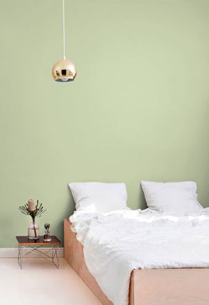 Aloe bedroom wall