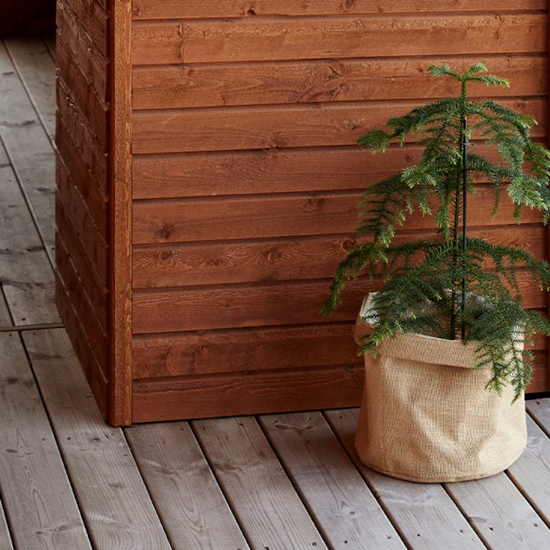 Green plant in a jute basket against brown wooden wall