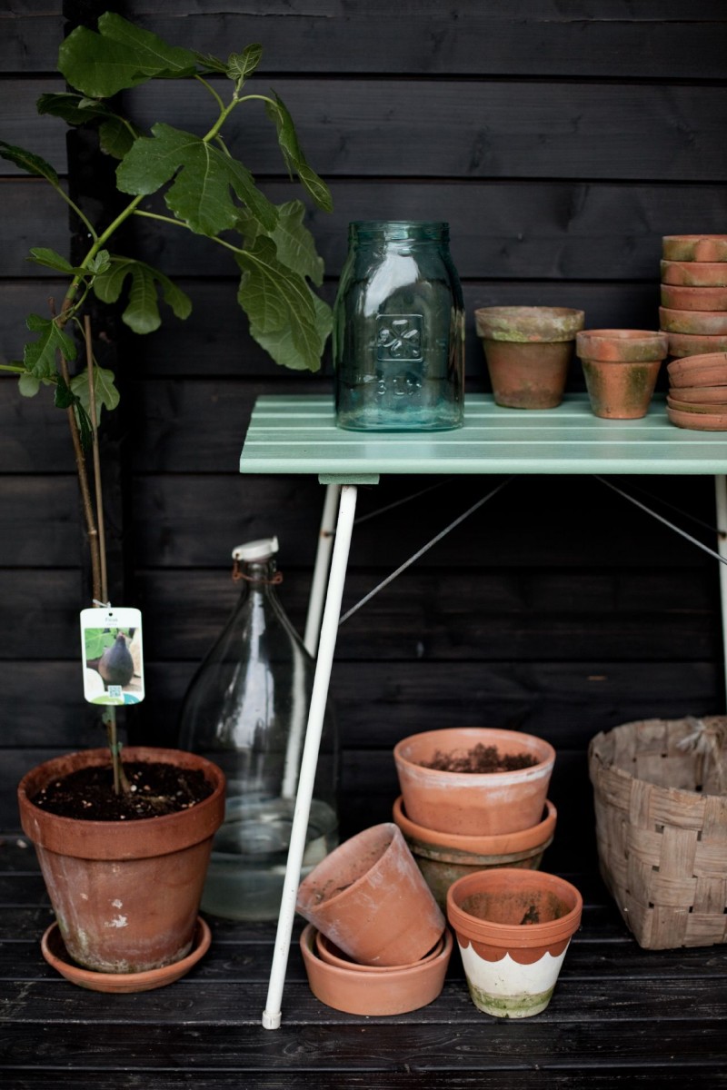 Garden DIY Painting- Your Decking For Summer | Close Up Image