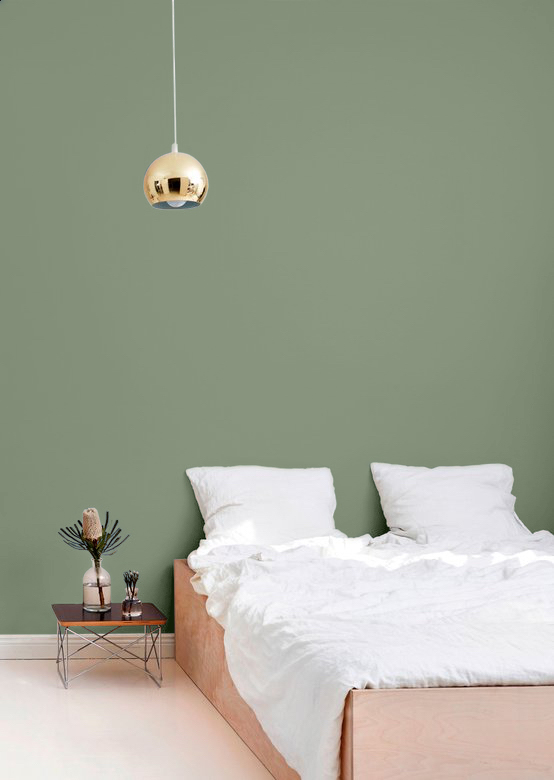 medium sage green bedroom wall