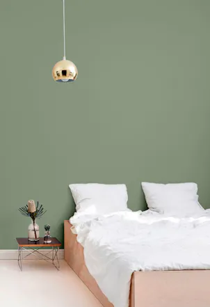 medium sage green bedroom wall
