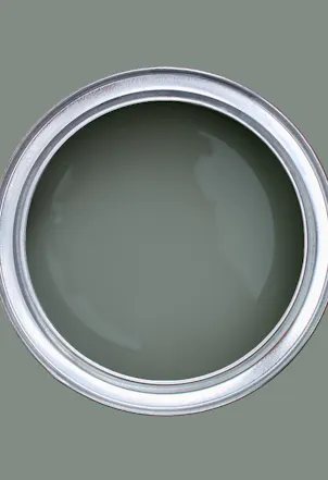 deep sage green hue