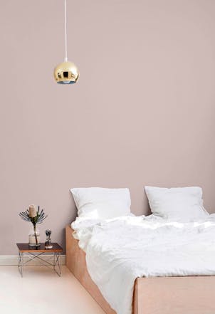Wall painted with TVT H479