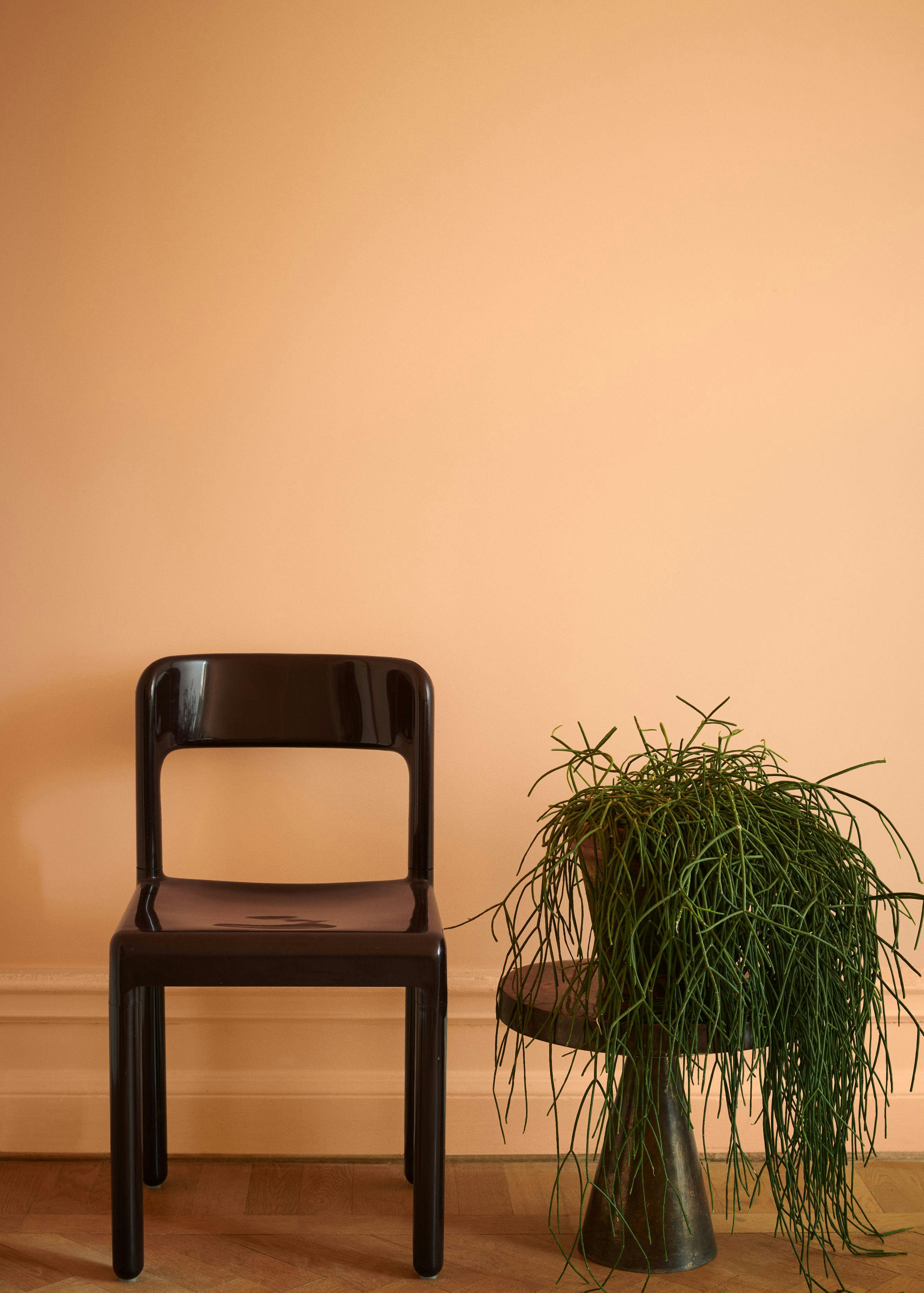 chair and plant in front of peach wall